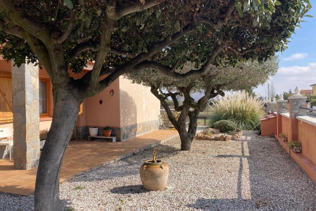 Вилла Vino Que Del Cielo Vino. Alt Penedes San Quintin de Mediona Экстерьер фото